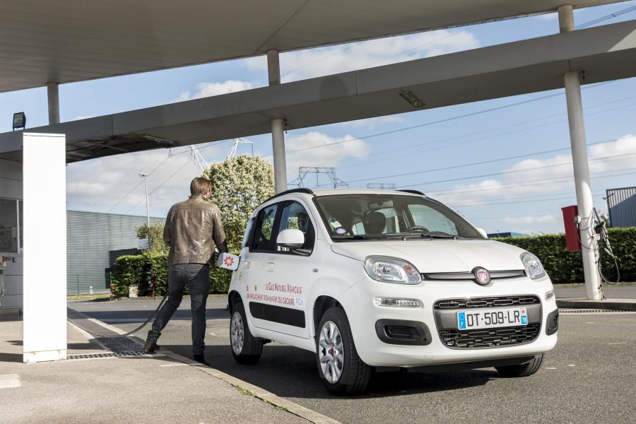  Fiat Panda Natural Power (319) 2012 года  (фото 22 из 38)